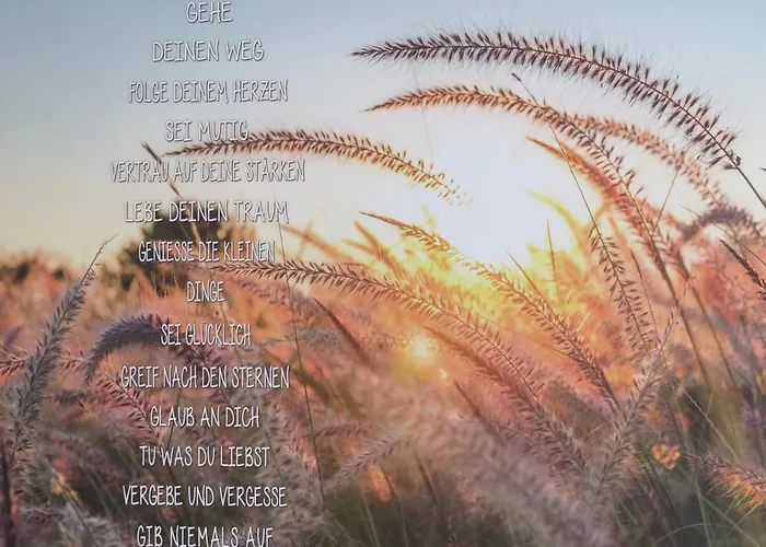 Zum Augustiner Iii Erfurt