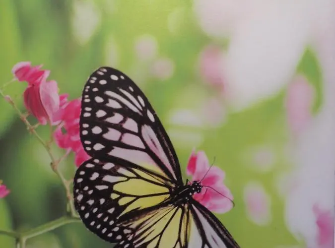 Zum Augustiner Iii Lejlighed